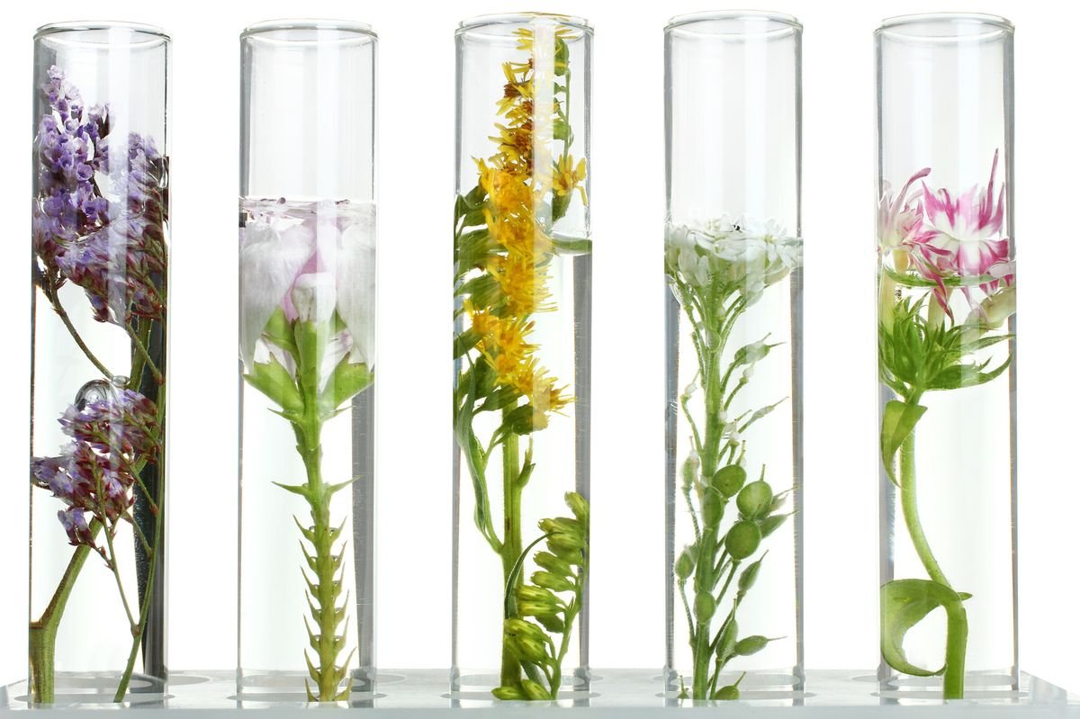 Botanical extracts in test tubes