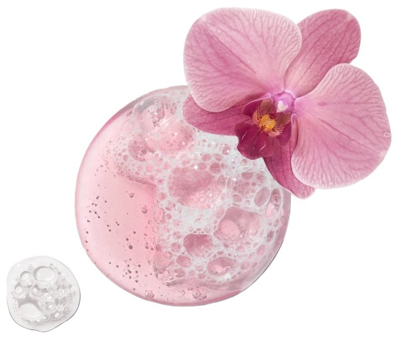 Orchid Splash bloom care