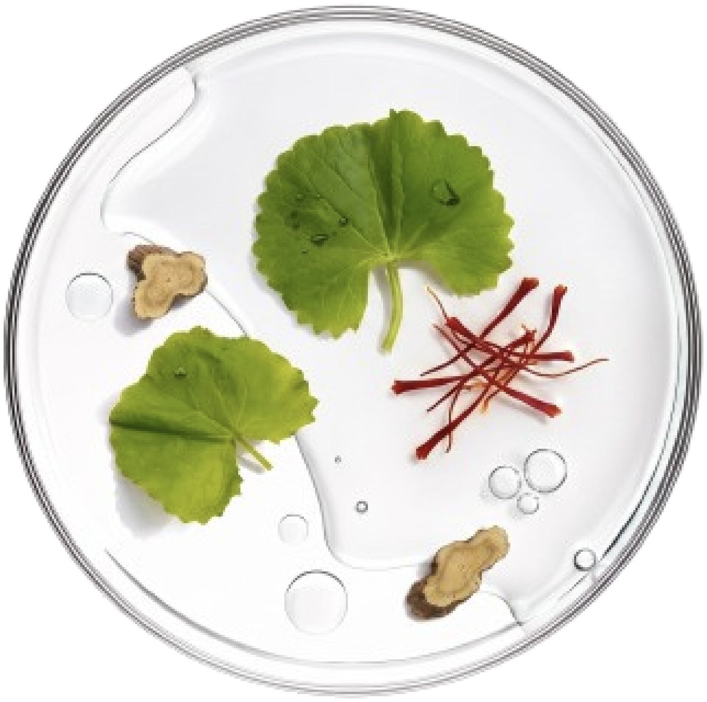 Sakura Spring botanicals